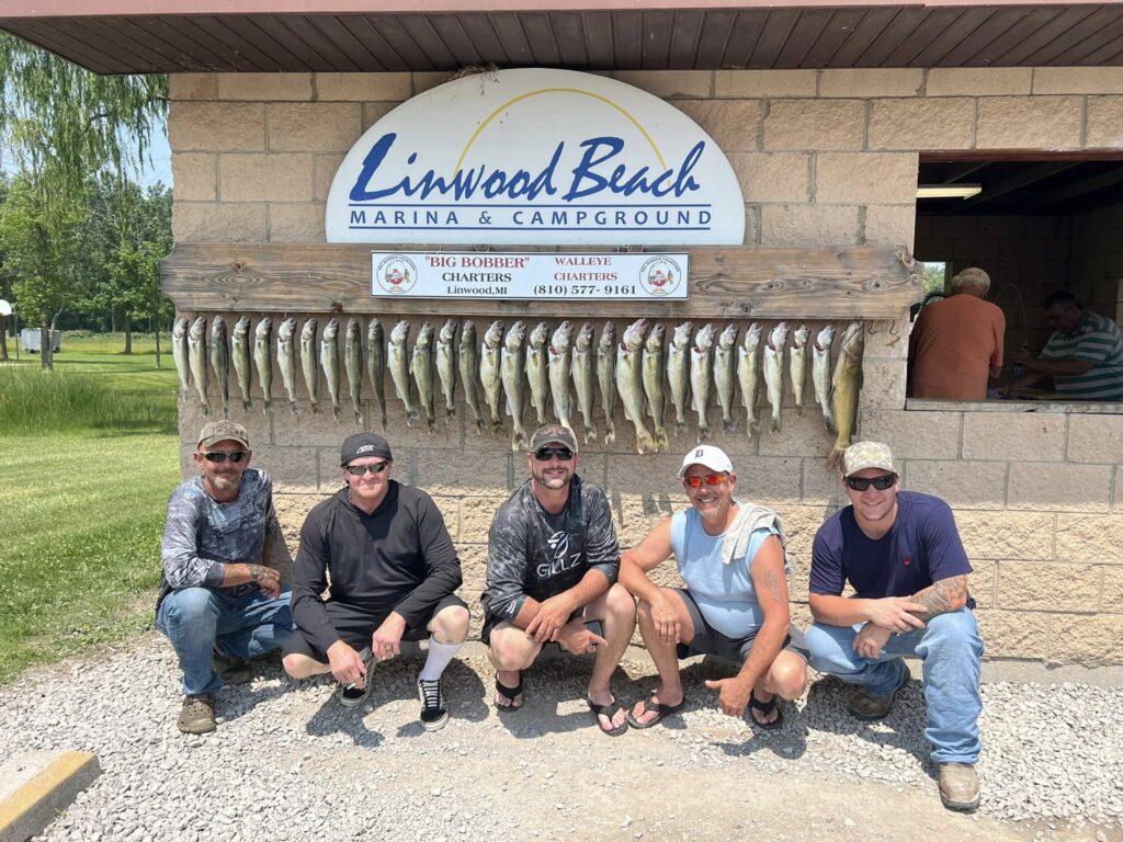 520361035_1334248078313102_4943116533785525662_n