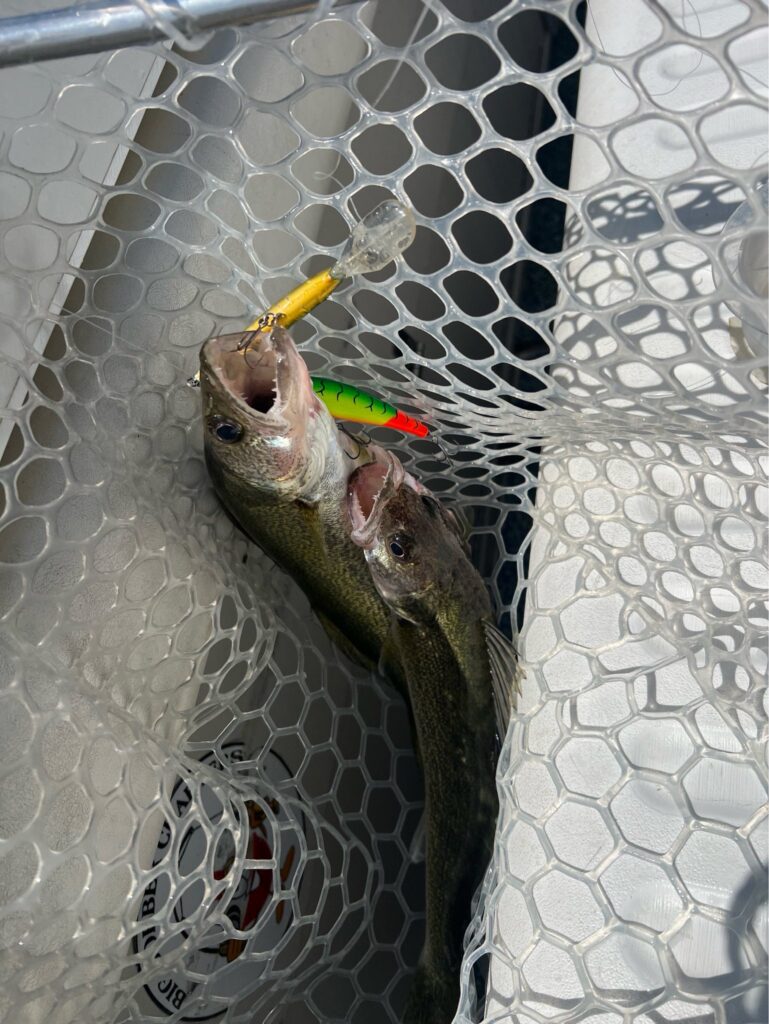 521058480_1336435988094311_2021501515737321107_n