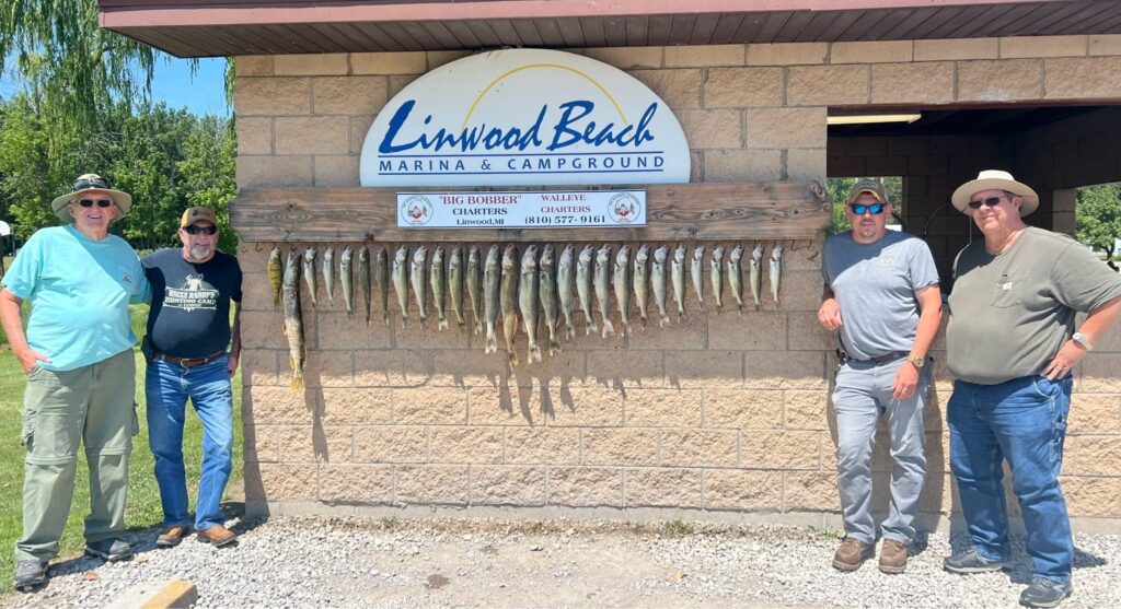 523471866_1336435981427645_8185953730692844186_n