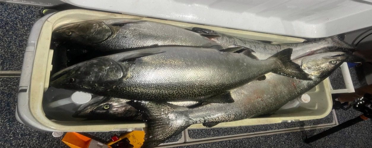 SalmonCharter FishingAt It's Finest