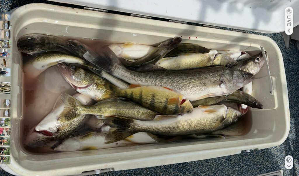 06b163a9-6d37-4c68-aea0-742edb8301a7