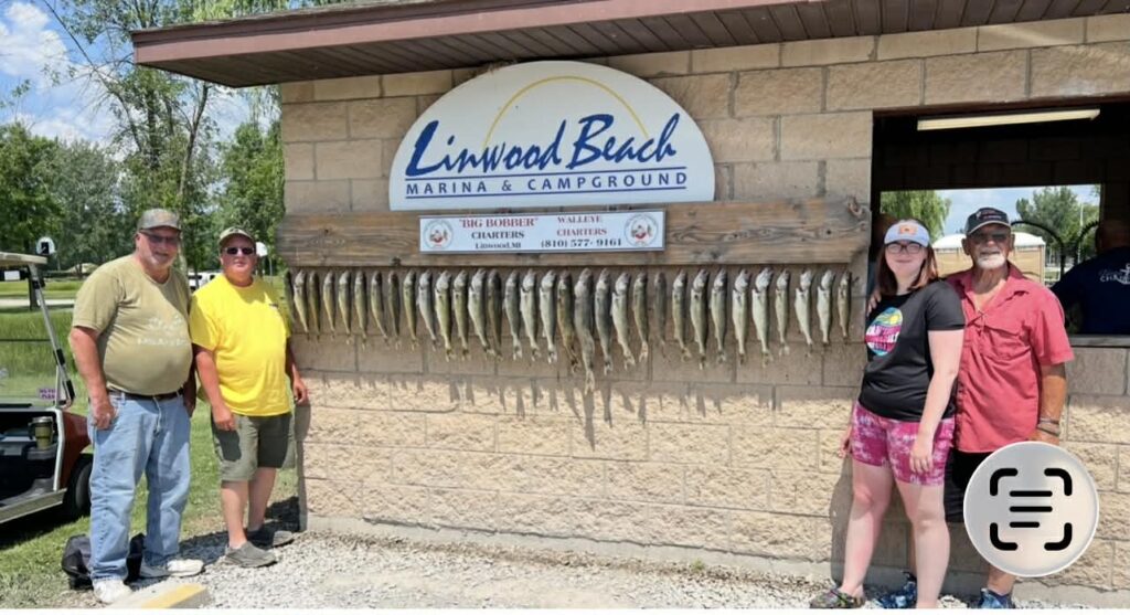 47ce864b-06de-4363-a936-cc0e0248ef24