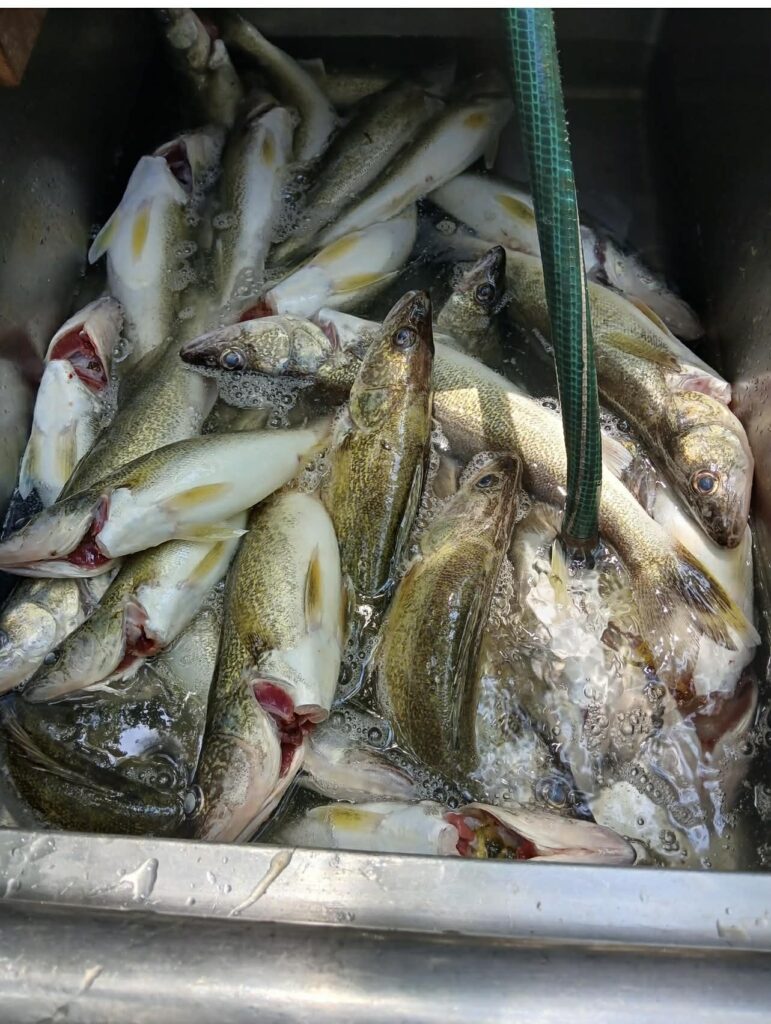 9a29955e-a6b0-48f2-b24a-120205d3fcd2