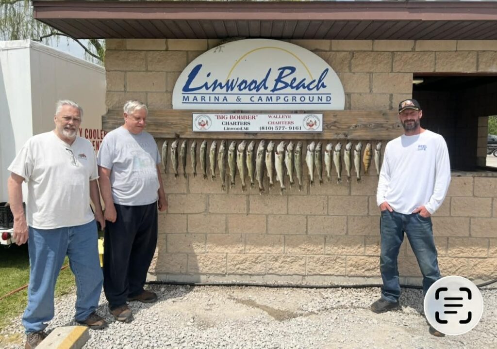 ae93c375-f436-4f6e-8efd-49ec2c0d6fa4