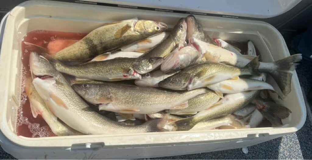 d5afb3cc-eb53-441d-8496-285e495fb4c2