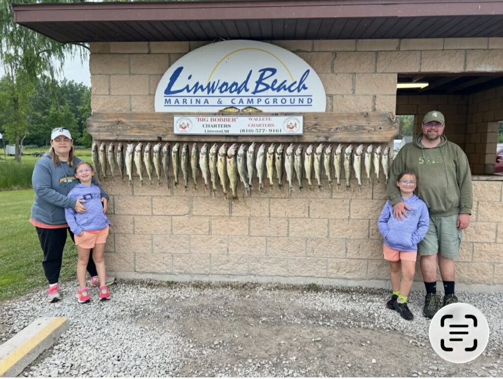 dfc8b28e-5706-47d9-a0eb-c0e194130953